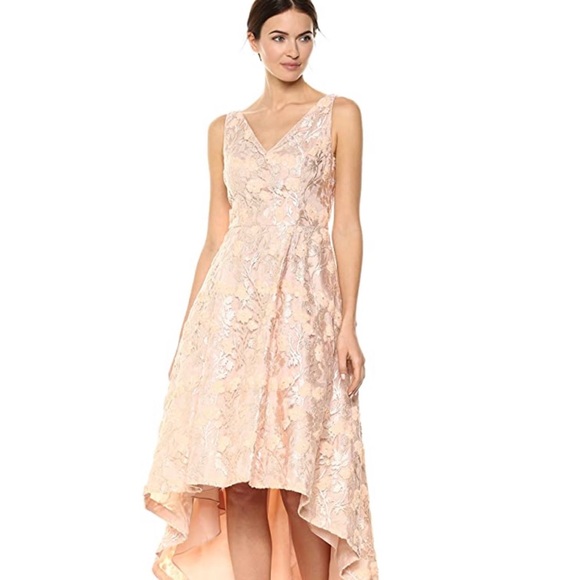 calvin klein fancy dresses